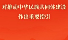 新闻共同体爆料电话,揭秘神秘电话背后的真相